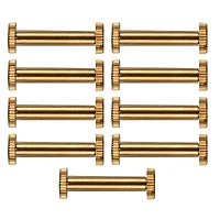 Dritz® Home Brass Long Post Chicago Screws for Binding, 3ct.