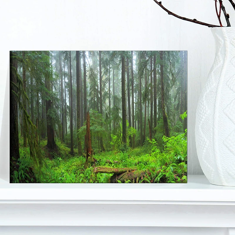 Designart - Hoh Rain Forest