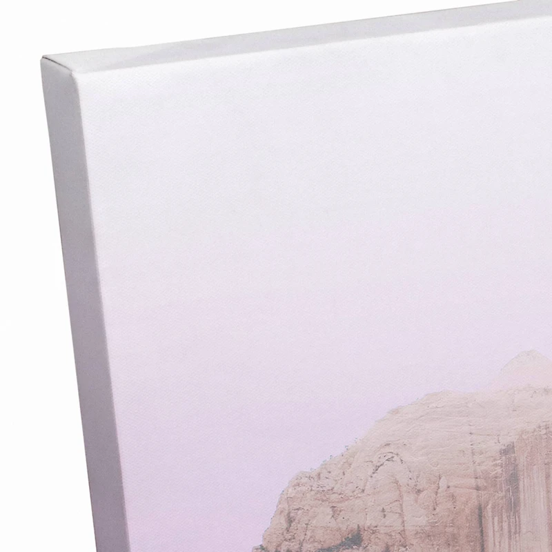 Blush Canyons 20" x 16" Canvas Wall Art