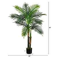4ft. UV Resistant Artificial Double Robellini Palm Tree (Indoor/Outdoor)