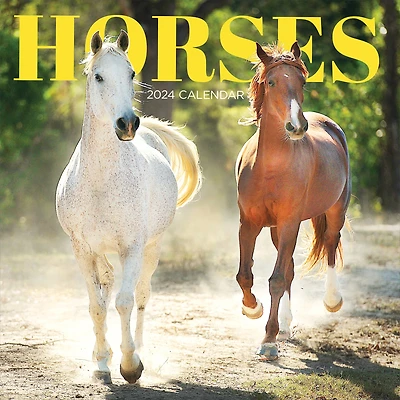 TF Publishing 2024 Horses Wall Calendar