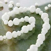 White Faceted Glass Rondelle Beads by Bead Landing™