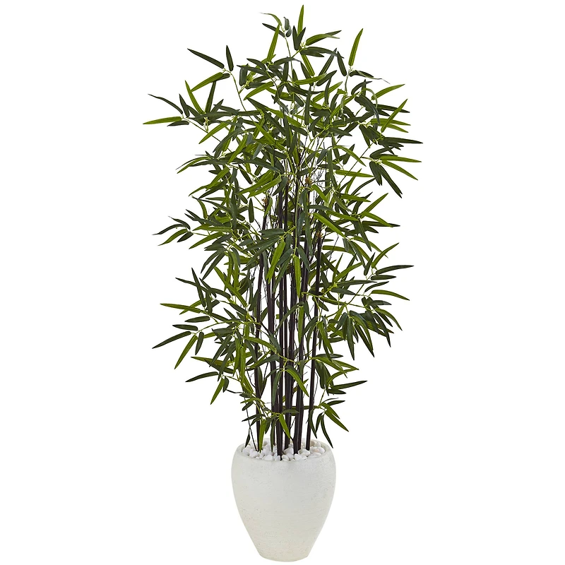 5ft. Black Bamboo Tree in White Oval Planter