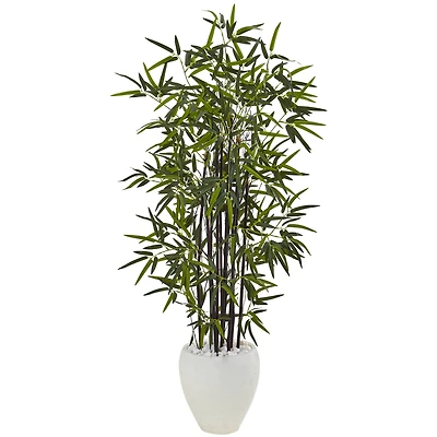 5ft. Black Bamboo Tree in White Oval Planter