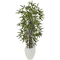 5ft. Black Bamboo Tree in White Oval Planter