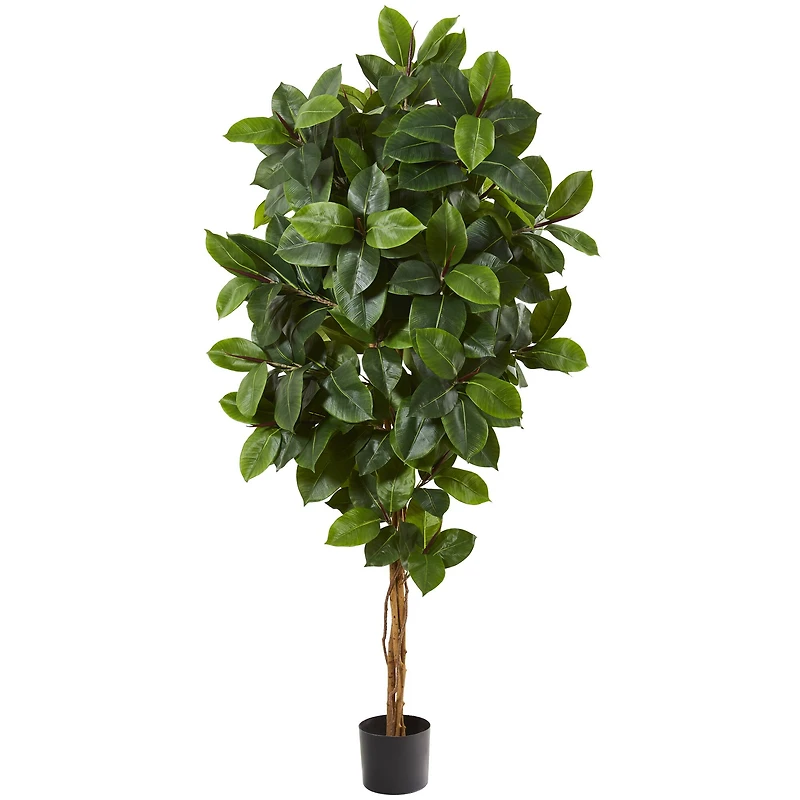 5.5ft. Potted Rubber Leaf Tree