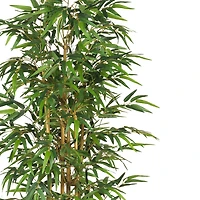 6ft. Potted Bamboo Silk Tree