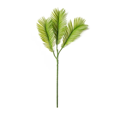 Green Sago Palm Stem by Ashland®