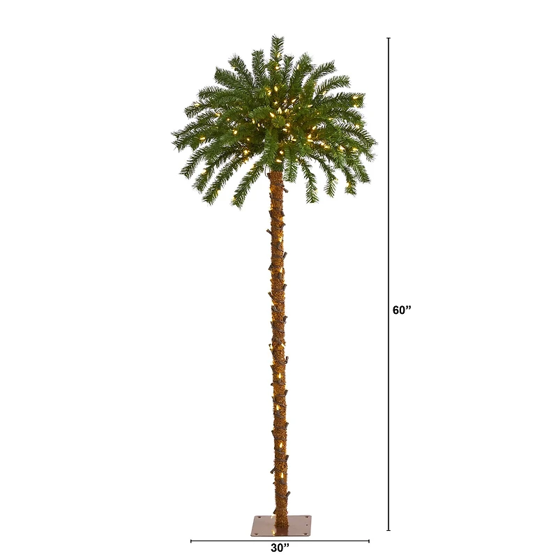 5ft. Pre-Lit Palm Artificial Christmas Tree, Warm White LED Lights