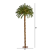 5ft. Pre-Lit Palm Artificial Christmas Tree, Warm White LED Lights