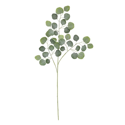 35.5" Dusty Green Round Eucalyptus Stem by Ashland®
