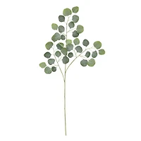 35.5" Dusty Green Round Eucalyptus Stem by Ashland®