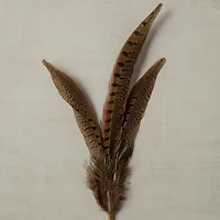 12 Pack: Pheasant Feather Picks by Ashland®