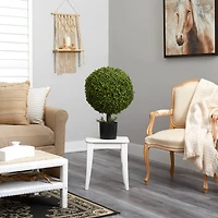 2.5ft. Potted Boxwood Ball Topiary Tree