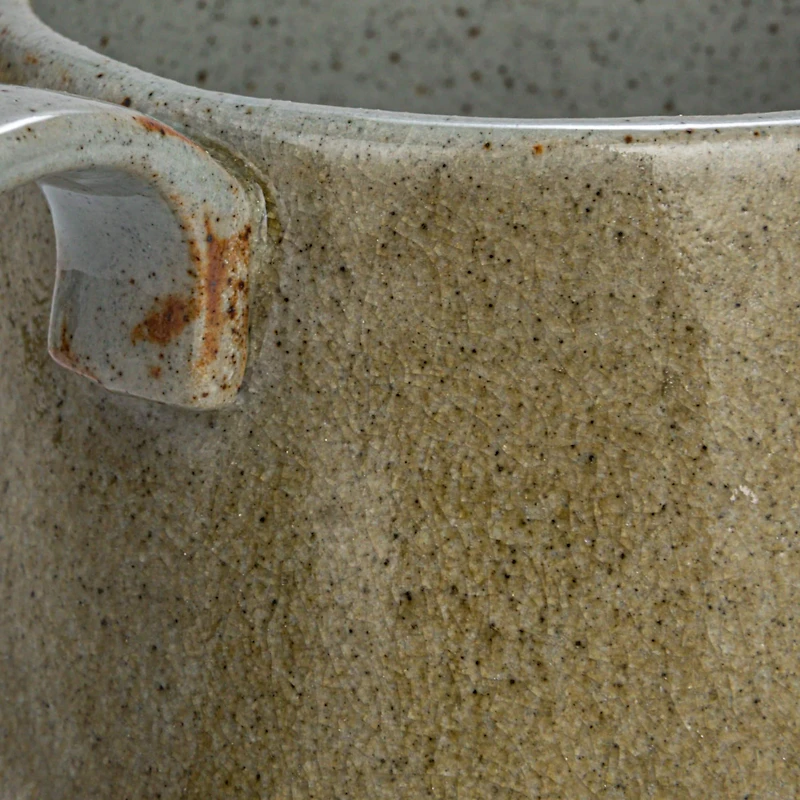 Hello Honey® Insect & Bird Design Stoneware Mug Set