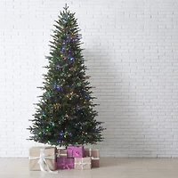 7.5ft. Pre-Lit Queensbury Fir Artificial Christmas Tree, Color Changing Cluster LED Lights