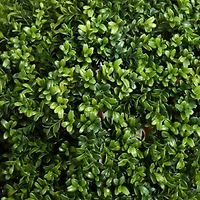 3ft. Potted Boxwood Topiary Tree 