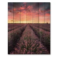 Designart - Sunrise & Dramatic Clouds Over Lavender Field XIV