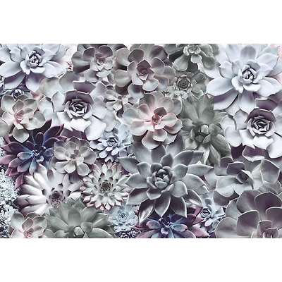 Komar Succulents Wall Mural