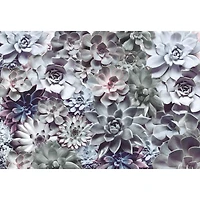 Komar Succulents Wall Mural