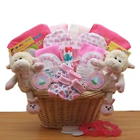 Double Delight Twins New Baby Girl Gift Basket