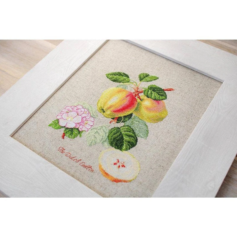 Luca-s The Dutch Codlin Counted Cross Stitch Kit