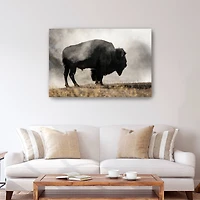 Geyser Basin Canvas Giclee