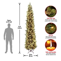 10ft. Pre-Lit Carolina Pine Artificial Christmas Tree, Clear Lights