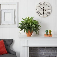 23" Mixed Leaf & Fern Plant in Terra Cotta Planter