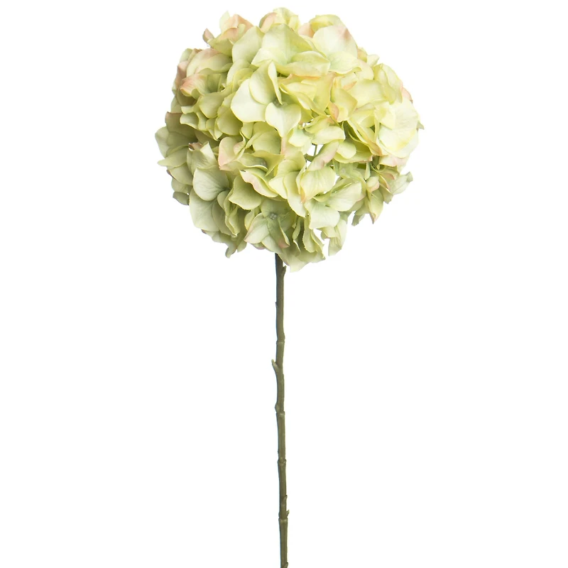 30" Green Hydrangea Stem by Ashland®