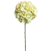 30" Green Hydrangea Stem by Ashland®