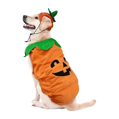 Best Furry Friends Jack-o'-Lantern Pumpkin Pet Costume