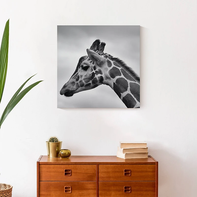Giraffe Photography 20" x 20" Canvas Wall Art