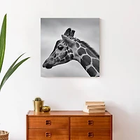Giraffe Photography 20" x 20" Canvas Wall Art