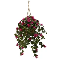 2.5ft. Bougainvillea Hanging Basket