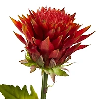 33" Tropical Artificial Flower (Set of 6