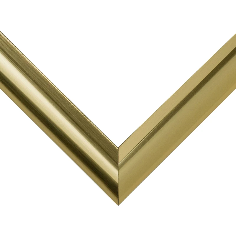 Frame USA Deluxe Poster Gold Single Image Picture Frame