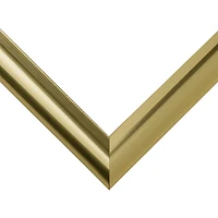 Frame USA Deluxe Poster Gold Single Image Picture Frame