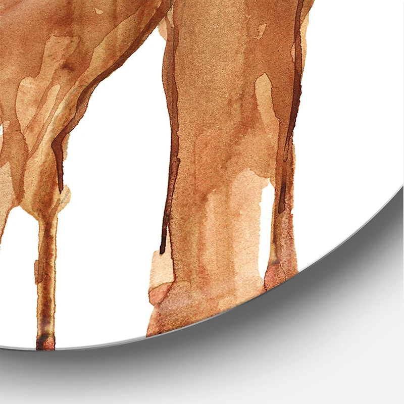 Designart - Handsome African Man Portrait On White II