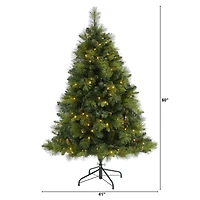 5ft. Pre-Lit North Carolina Mixed Pine Artificial Christmas Tree, Warm White LED Lights