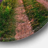 Designart - Lavender Field At Dawn II