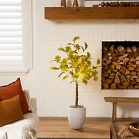 4ft. Pre-Lit Green Autumn Oak Artificial Fall Tree with 150 Warm White LED Lights