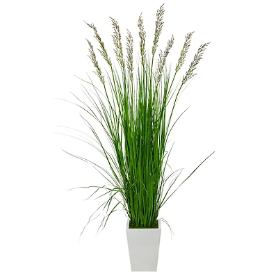 6.25ft. Grass Plant in White Metal Planter