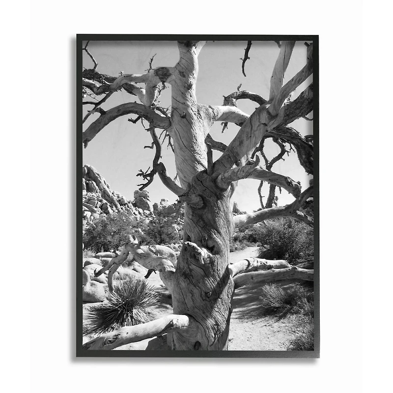 Stupell Industries Desert Tree Photograph Black Framed Wall Art