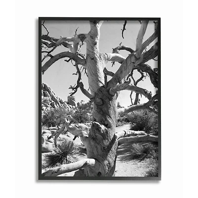 Stupell Industries Desert Tree Photograph Black Framed Wall Art