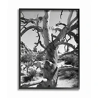Stupell Industries Desert Tree Photograph Black Framed Wall Art