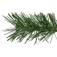 Dakota Red Pine Stem with Pine Cones