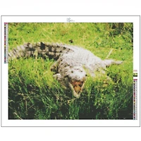 Sparkly Selections Crocodile on the Nile River Diamond Painting Kit, Square Diamonds
