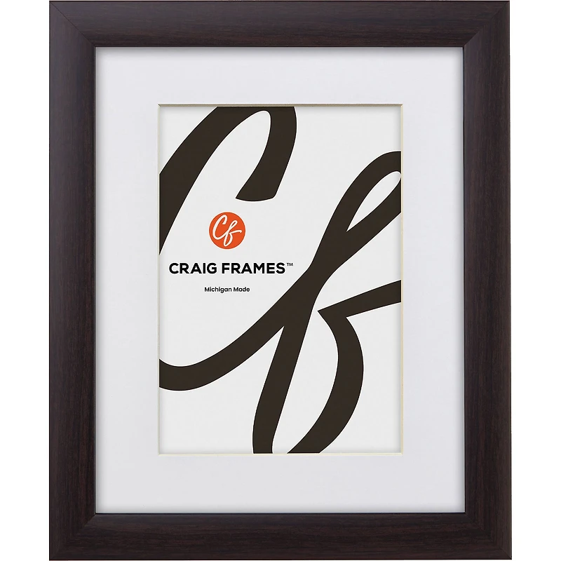 Craig Frames Contemporary Brazilian Walnut Picture Frame with Mat