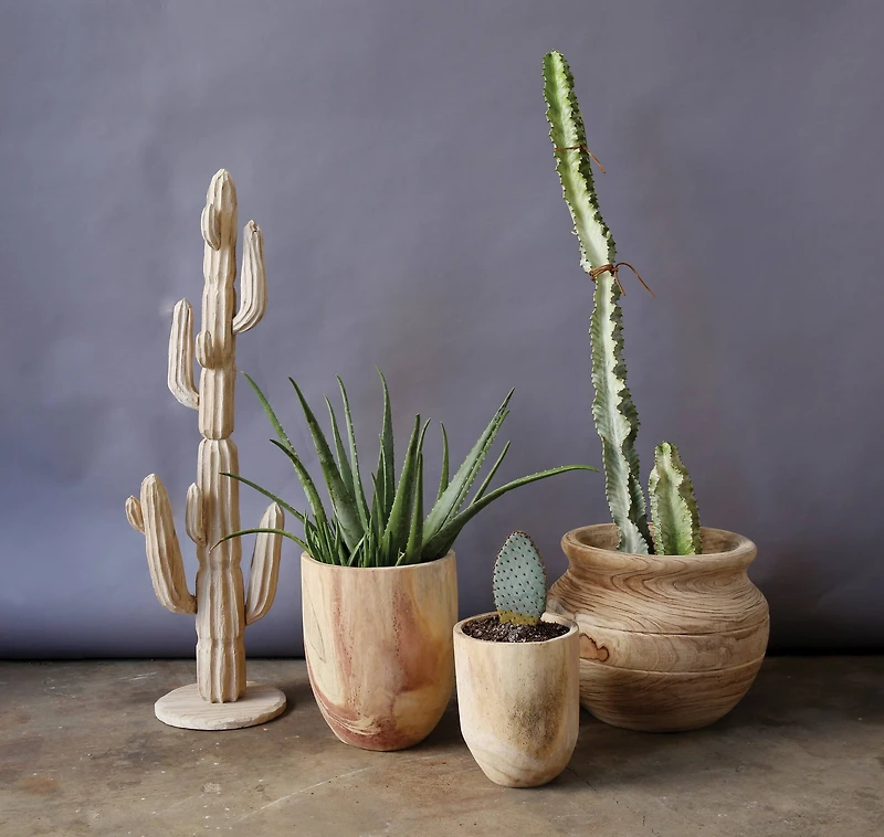 Hello Honey® Rounded Paulownia Wood Pots Set